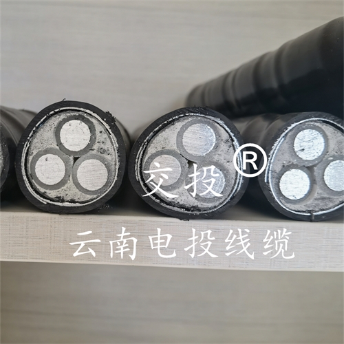 云南電投線纜有限公司-昆明YJHLV22鋁合金電纜